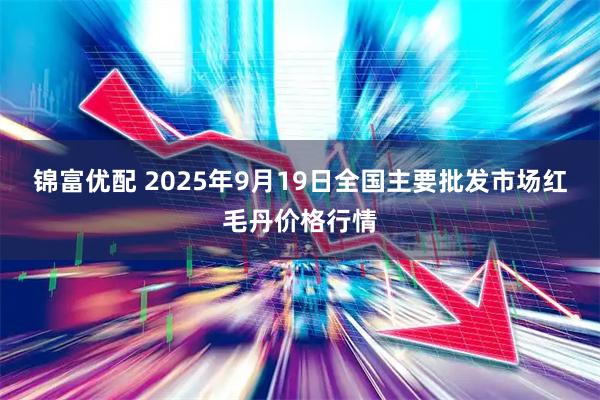锦富优配 2025年9月19日全国主要批发市场红毛丹价格行情