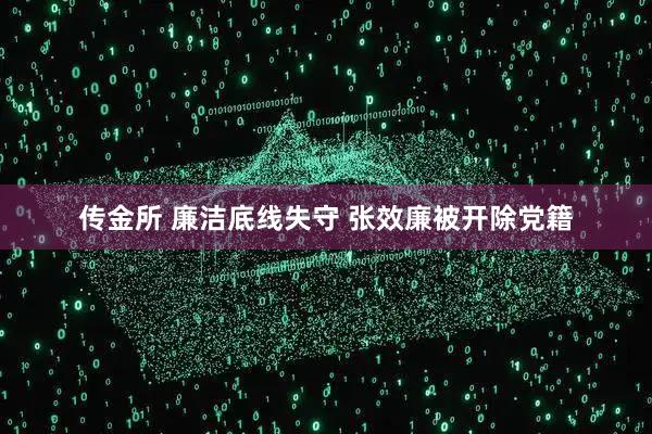 传金所 廉洁底线失守 张效廉被开除党籍