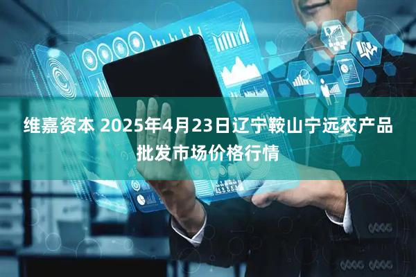 维嘉资本 2025年4月23日辽宁鞍山宁远农产品批发市场价格行情