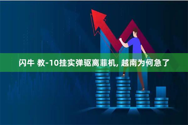 闪牛 教-10挂实弹驱离菲机, 越南为何急了