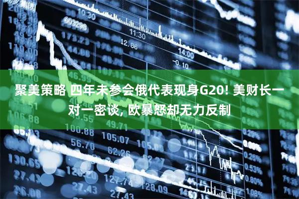 聚美策略 四年未参会俄代表现身G20! 美财长一对一密谈, 欧暴怒却无力反制